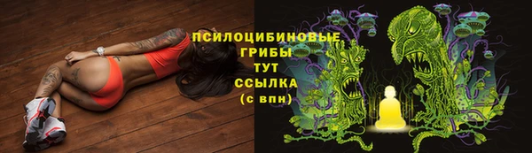 spice Алексеевка