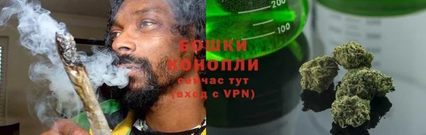 ПСИЛОЦИБИНОВЫЕ ГРИБЫ Алзамай