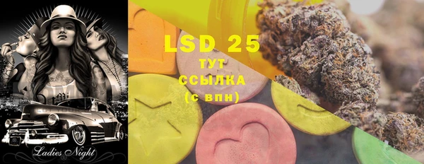 ПСИЛОЦИБИНОВЫЕ ГРИБЫ Алзамай