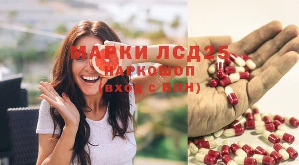 ПСИЛОЦИБИНОВЫЕ ГРИБЫ Алзамай