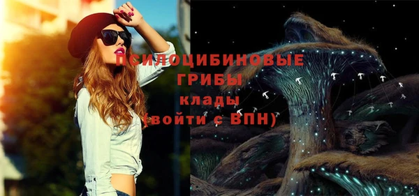 spice Алексеевка