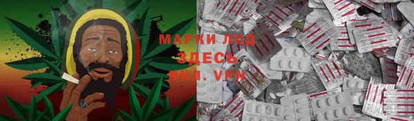 ПСИЛОЦИБИНОВЫЕ ГРИБЫ Алзамай
