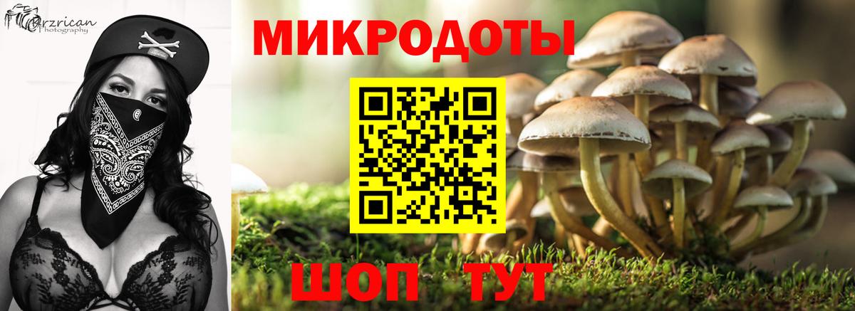 наркошоп  Вход с VPN  Кропоткин  Псилоцибиновые грибы Psilocybe 